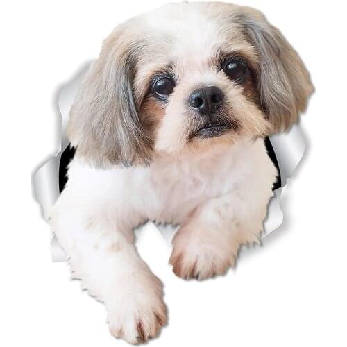 S50261# 13CM/15CM/17CM Personality PVC Decal Lovely Shih Tzu Dog Car Sticker on Motorcycle Laptop Decorative Accessories