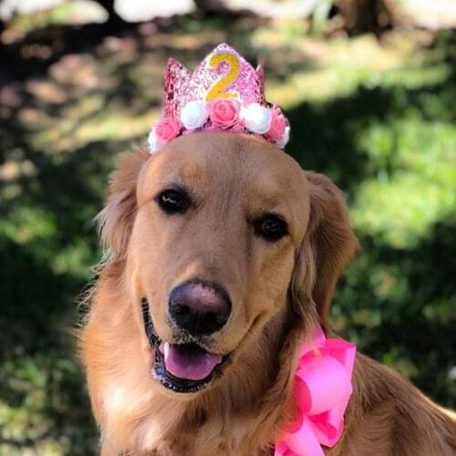Children Kids Pet Dog Shiny Cute Non-woven Crown Birthday Cap Hat Numbers Party Decor Teddy Labrador Birthday Party Party Sign