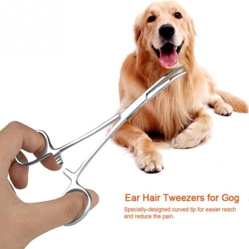 1Pcs Curved Tip Cleaning Clamp For Cat Dog Stainless Steel Pliers Pets Ear Hair Tweezers scissors Hand Tools Hair Clipper Hot