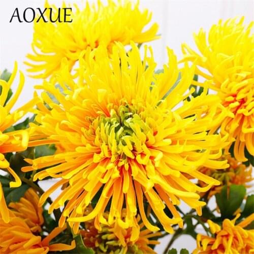 Aoxue Home And Garden Products