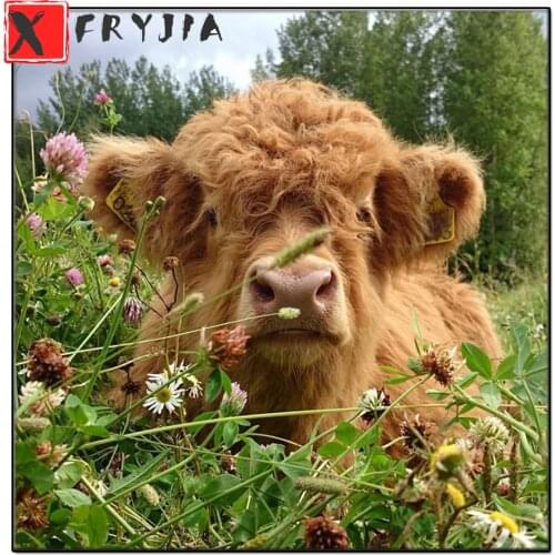 Diamond Embroidery Scottish Highland Cattle Diamond Painting Cross Stitch Mosaic Full Square round drill Rhinestones Home Decor