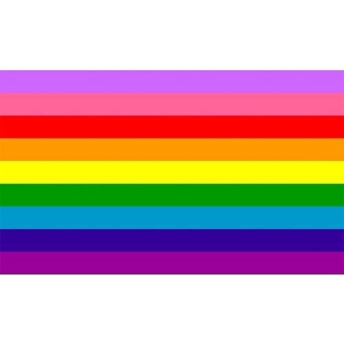 2017 diversity LGBT Flag 90*150cm hanging For Decoration