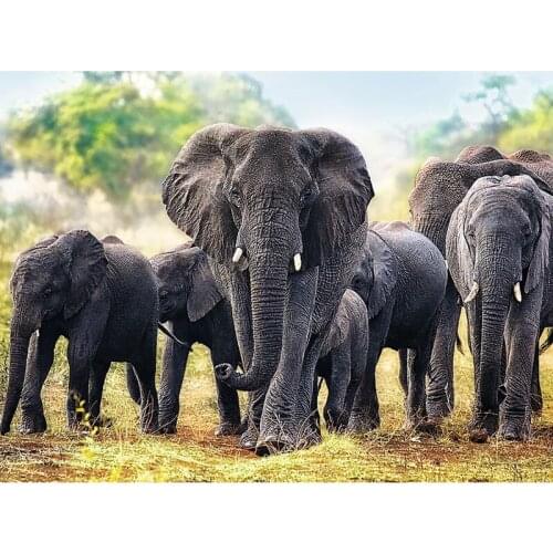 Full square diamond embroidery african elephants 5D DIY diamond painting Cross Stitch Rhinestone mosaic decoration stickers,art