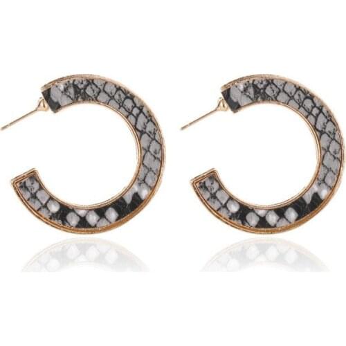 2020 New Shine C Shape Hoop Earrings Colorful Leopard Print Circle Earrings Loop Earrings Geometric for Women Jewelry