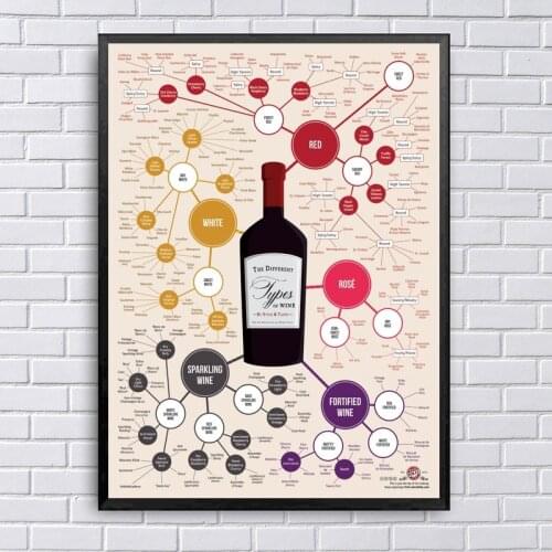 MT2277 The Different Types of Wine Chart Poster Painting Art Poster Print Canvas Home Decor Picture Wall Print