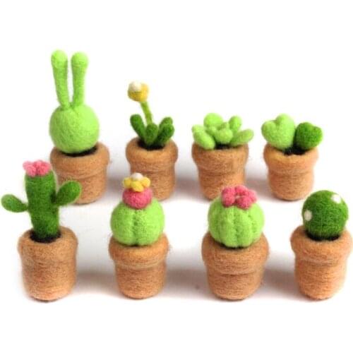 Succulent Needle Felting Kits with 3 Felting Needles, English Manual, Enough Wool, Suitable for Beginners