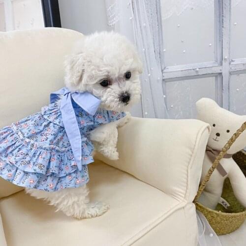 Customized Luxury Puppy Small Dog Dress Skirt New Pet Floral Skirt Dog Cat Clothes Cute Small Skirt Ins Wind Pet Suspender Skirt