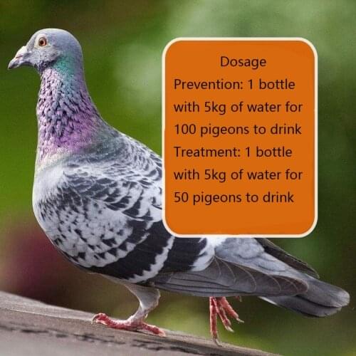 Pigeons tilt their heads, shake their heads and fry their hairs and have green stools, 100 birds/bottle