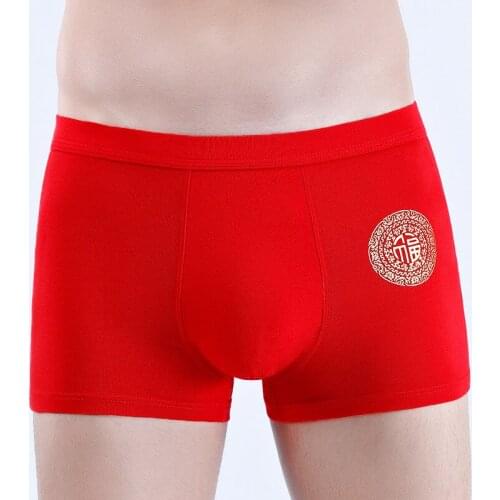 Kengnin Men's Briefs