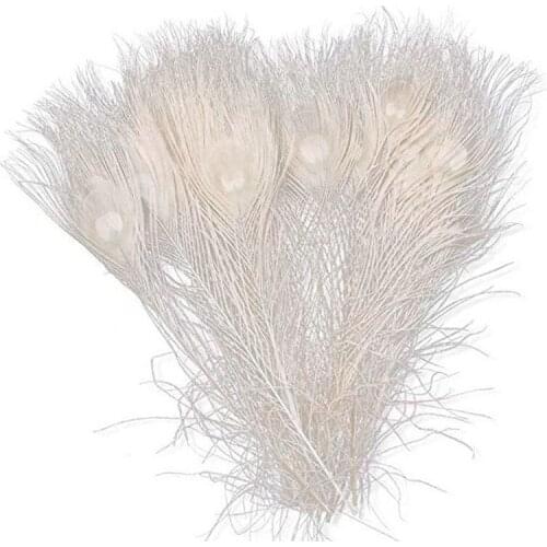 New 50 PCS/Natural White Peacock Feathers in the Eye, 10 to 12 Inches of the Peacock Feather Wedding Decoration