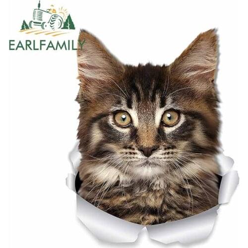 EARLFAMILY 13cm x 12.9cm For Cat Car Window Stickers Repair Decal Anime Graphics 3D Sticker Waterproof Sunscreen Decoration