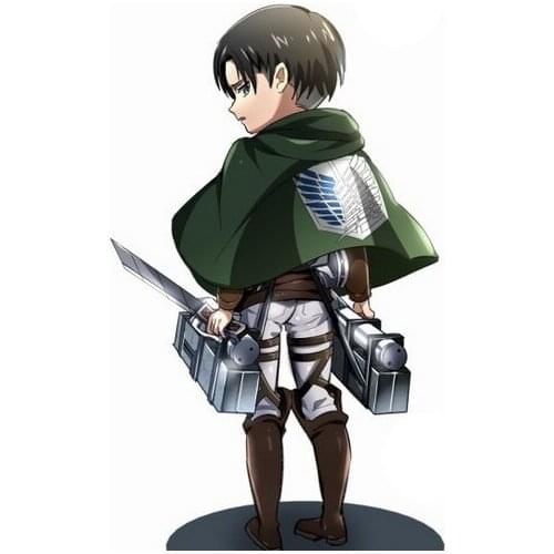 Free Shipping Shingeki no Kyojin Cosplay Costume for Halloween and Christmas