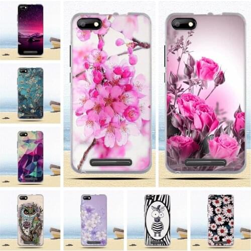 TPU Cover Case For BQ S 5020 Strike BQS-5020 Coque Painted Back Cover For BQ S 5020 Strike BQS-5020 Fundas Silicone Shells Bags