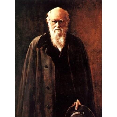 High quality art oil painting Retail price $250 -biologist Charles Robert Darwin portrait Free shipping cost
