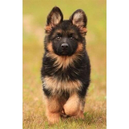 Animal German Shepherd DIY Embroidery 11CT Cross Stitch Kits Needlework Craft Set Printed Canvas Cotton Thread Home Room