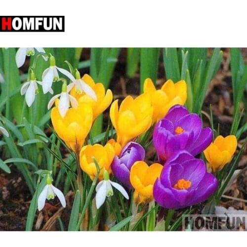 HOMFUN Full Square/Round Drill 5D DIY Diamond Painting "flower"Embroidery Cross Stitch 5D Home Decor A16766