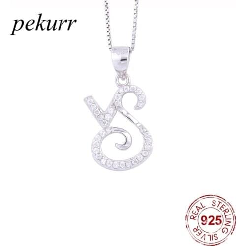Pekurr 925 Sterling Silver Horoscope Capricorn Zircon Necklace For Women Constellation Pendants Zodiac Sign Jewelry
