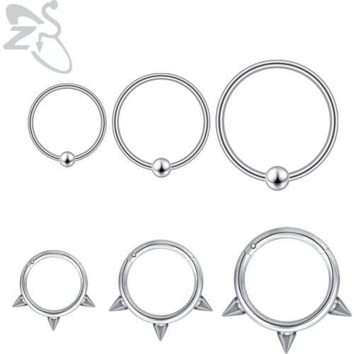 ZS 16G Stainless Steel Septum Nose Rings Hoop Cone Spiral Hinged Segment Rings for Daith Helix Piercings Carilage Body Jewelry