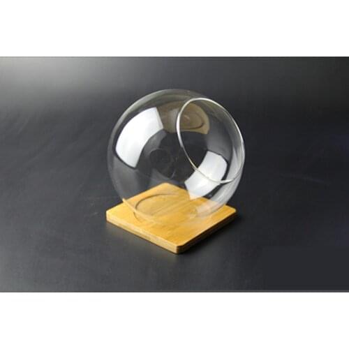 Empty glass snow globe Moss DIY vase round oblique glass bottle micro landscape ecological bottle succulent plant moss bottle