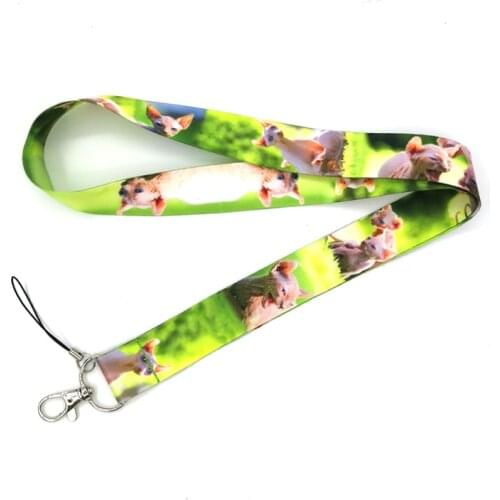 Animal Hairless Sphynx Cats Lanyard for Keys Phone Cool Neck Strap Lanyard for Camera Whistle ID Badge Cute ribbons Gifts