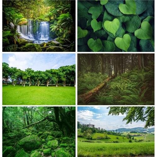 Tropical Forest Green Trees Plants Leaves Vinyl Photography Backdrops Props Natural Scenery Photo Studio Background 21901REL-02