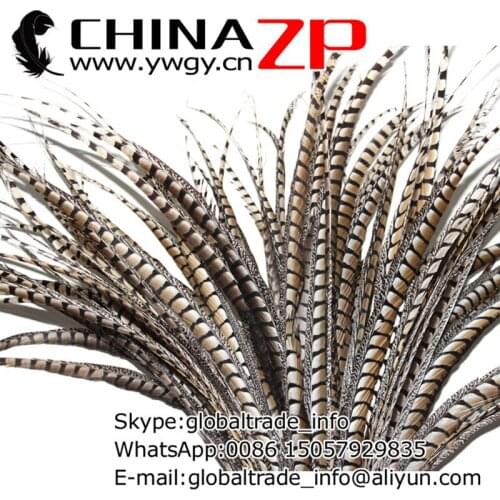 CHINAZP Factory 10pcs/lot Size from 36 to 40inch(90~100cm)Top Quality Natural Lady Amherst Pheasant Tail Feathers