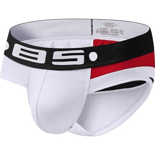 2020 BS Brand Men Briefs Underwear Sexy Breathable Underpants Cotton Comfortable Mens Briefs Underwear Shorts BS113