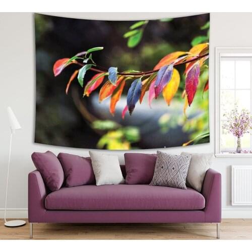 Tapestry Colorful Autumn Leaves Trees Sunny Day Golden Magical Season Nature Scenery Red Green Yellow