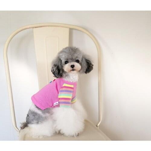 Spring Autumn Dog T-shirt Short Type Cat Chihuahua Yorkshire Terriers Puppy Clothes Pomeranian Shih Tzu Maltese Poodle Clothing