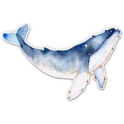 Whale Watercolor Beautiful - 5" Vinyl Sticker - for Car Laptop I-Pad - Waterproof Decal