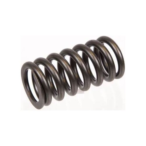 External Valve Spring 466384 Fit for VOLVO TAD740