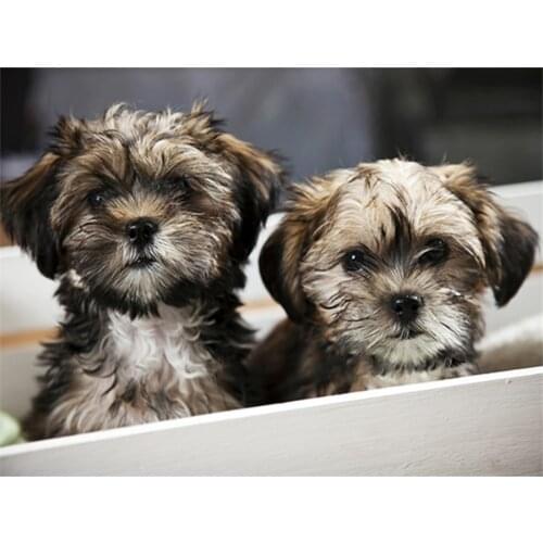 Handicrafts Diamond Embroidery Spitz Fluffy Cross Stitch Full Square Drill Diamond Art Two Dog Diamond Painting Puppy Rhinestone