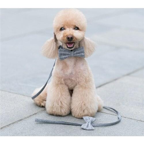 Blue And Gray Bow Tie Pet Dog Collar And Leash Set Cotton Adjustabele Collar Dog Training Leash Reflective Pet Supplies