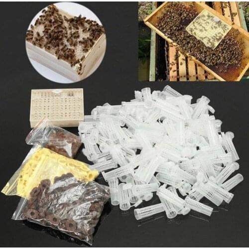 Beekeeping Tool Queen Rearing System Cultivating Box 120pcs Plastic Bee Cell Cup Better Breeding and Management Bee Incubator