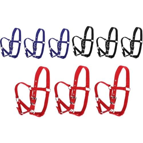 Strong and Durable Adjustable Webbing Equestrian Horse Halter Horse Riding Wear Adjustable Equestrian Horse Halter