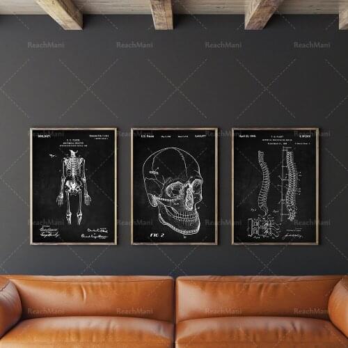 Anatomical Patent Poster Set of 3, Skeleton Poster, Hospital Decor, Skull, Spinal Art, Office Decor