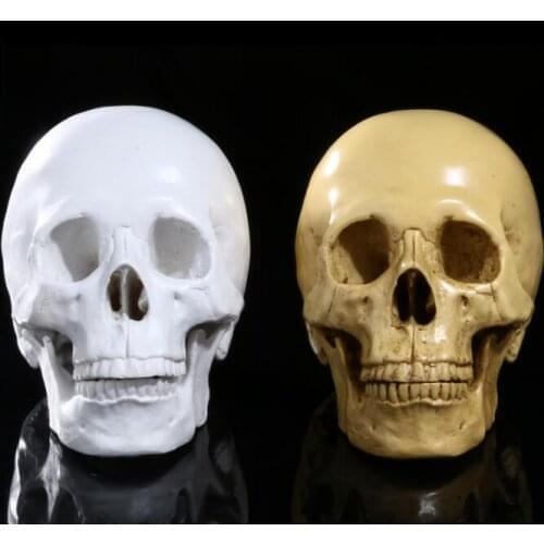 Teaching resin skulls bar display human skull model Home Decoration Halloween human skeleton model
