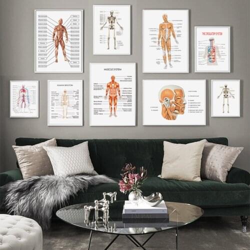 Human Anatomy Muscle Skeleton Labeled Nordic Posters and Prints Wall Art Canvas Painting Wall Pictures Doctor Office Decoration