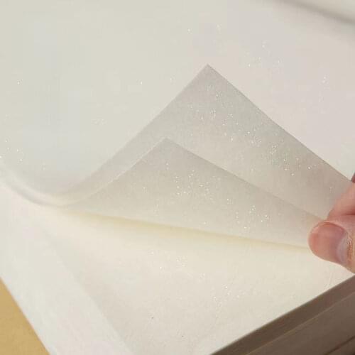 Chinese Mica Ripe Xuan Paper 20pcs Handmade Translucent Ripe Rice Paper for Copying Calligraphy Painting Tanpi Rice Paper