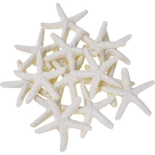 15 Pieces creamy-white Pencil Finger Starfish For Wedding Decor, Home Decor And Craft Project