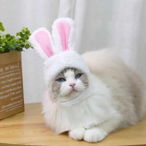 50LB Funny Cat Hat Rabbit Shaped Costume Birthday Pet Accessories Supplies Multicolor High Quality Pet Wear Adjustable Cap