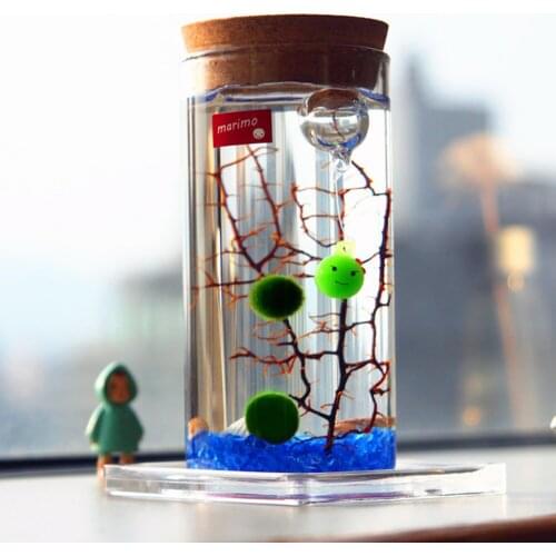 Multi-function Glass Vases Bottle Jars with LED Light Home Decoration Wedding Party Terrarium Bouteille Verre Flower Landscape