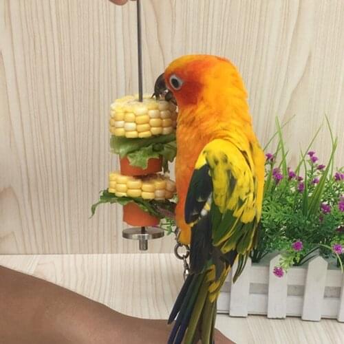 Parrots Birds Food Holder Support Stainless Steel Fruit Spear Thread Meat Skewer
