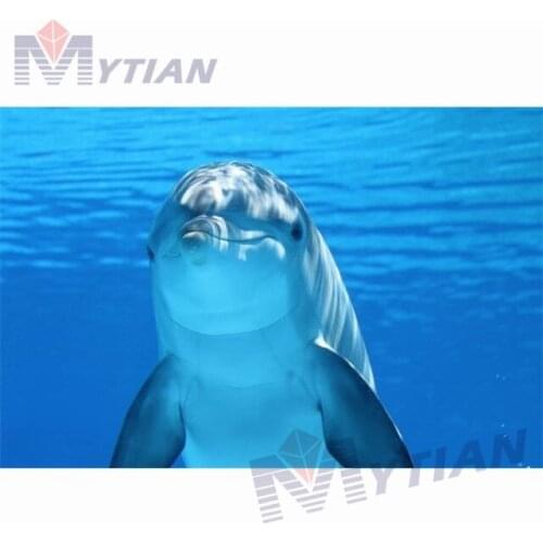 5D DIY Full Drill Square Round Diamond Painting Cross Stitch Dolphin Underwater Rhinestone Diamond Embroidery Mosaic Home Decor