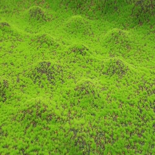 10 Square Meter Artificial Green Moss Grass Mat Plants Faux Lawns Turf Carpets for Garden Home Party Decoration