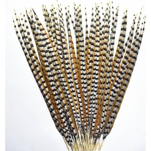Natural Lady Amherst Pheasant Feathers for Crafts12-72" Reeves Venery Pheasant Tail Feathers Feather Decoration Decor Long Plume