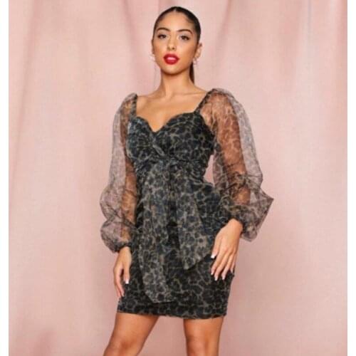Sexy Perspective Leopard Print Mesh Long Sleeves High Waist Large Size Is Thin with Belt Dress Girl Dress Dress