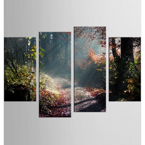 4 pieces / set grass forest autumn trees park leaves walk road colors nature landscape home wall modern art decor