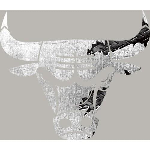 Bull Head Iron on Patches for Mens Clothing Cool Cow Parches Thermal Transfer Stickers on Punk Clothes Accessories Appliques T