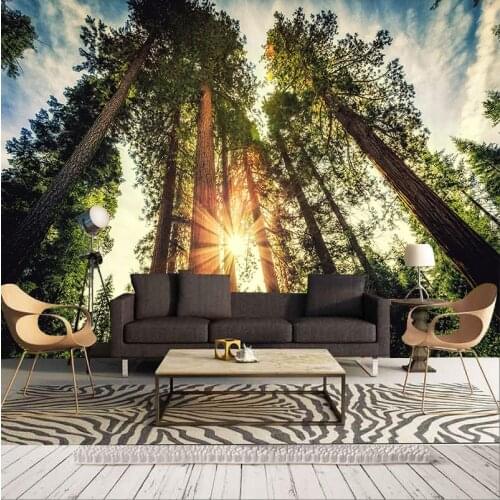 Bacaz 8D/5D Papel Murals Wallpaper Nature Sun Towering trees 3d Wall Photo Mural Wall paper for Living Room 3D Wall Murals